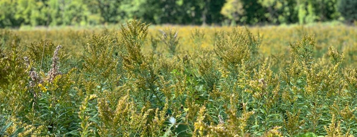 Whiting Road Nature Preserve is one of ROC To Do.