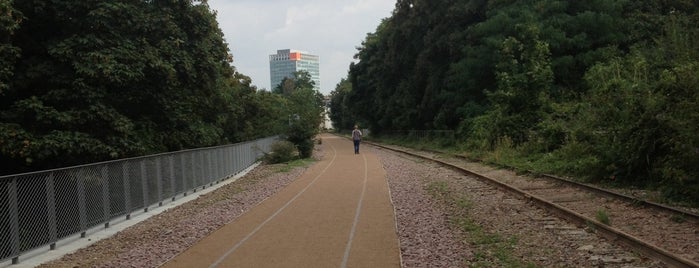 Petite Ceinture du 15e is one of Marcさんのお気に入りスポット.