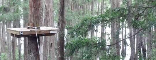 Tree To Tree at Tallahassee Museum is one of Nord-Florida Panhandle / USA.