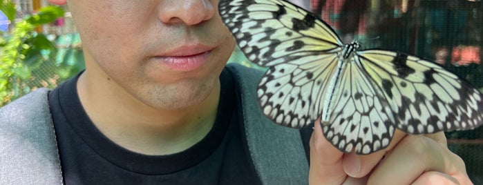 Butterfly Garden, Bohol is one of Tempat yang Disimpan Jackie.