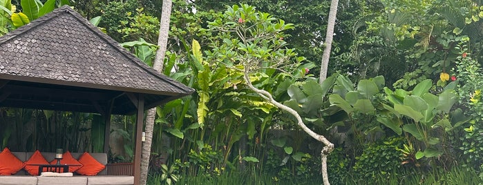The Samaya Ubud - Bali is one of Villa Bossi's Favorites in Bali.