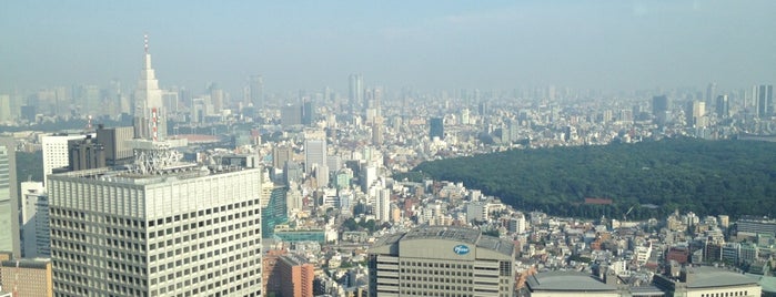 Tokyo Metropolitan Government Building is one of pikachu.