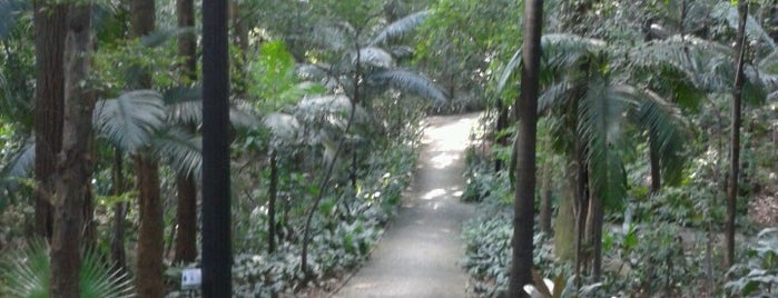 Parque Tenente Siqueira Campos (Trianon) is one of LUGARES FAVORITOS.