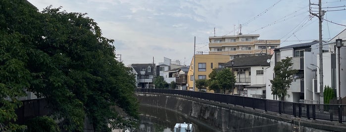 大平橋 is one of 東京橋 〜呑川編〜.