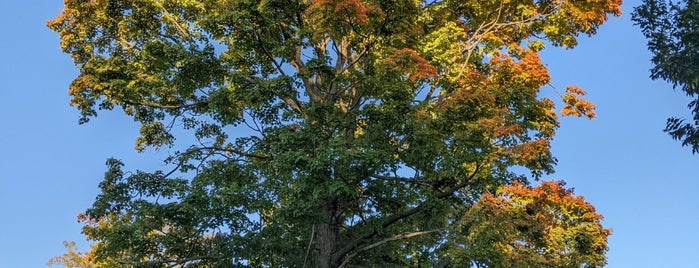 Hudson Park is one of Great outdoors.