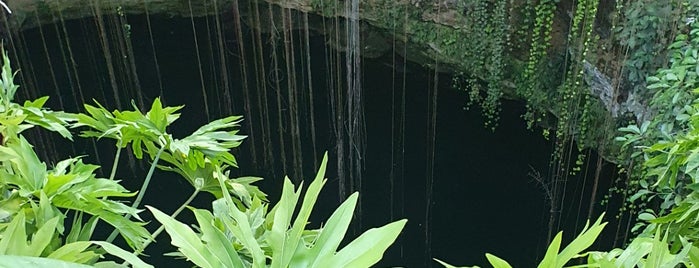 Ik-Kil (Sacred Blue Cenote) is one of Tulum.