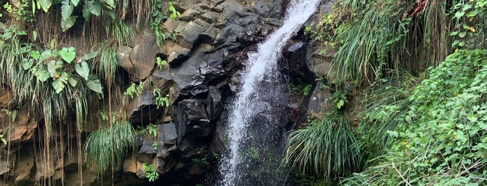 Annandale Waterfall is one of Lugares favoritos de Heath.
