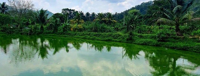 Broga Recreational Fishing Park (武来岸石水烧鱼) is one of K.L.