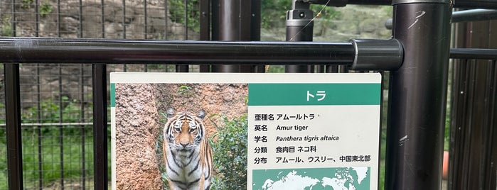 トラ is one of The 15 Best Zoos in Tokyo.