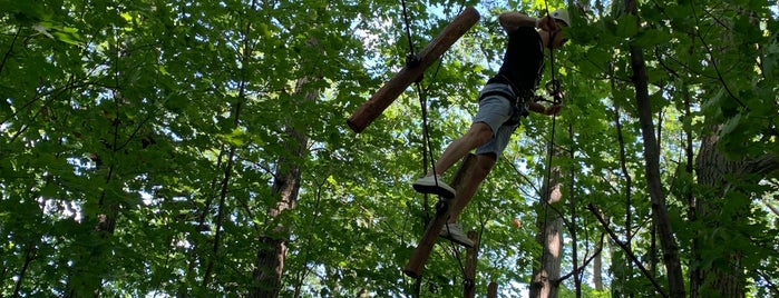 Treetop Trekking is one of Toronto.