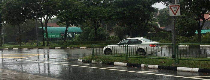 MacRitchie Viaduct is one of Non Standard Roads in Singapore.