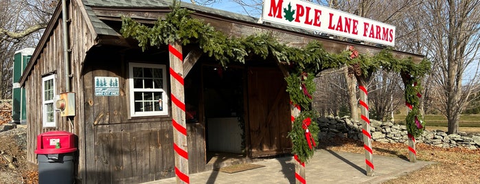 Maple Lane Farms is one of Foodie Finds.