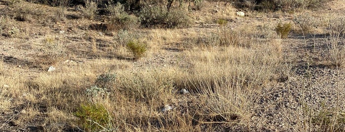 Rancho Vistoso is one of Areas in Tucson.