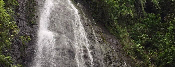 Waihe'e Falls is one of Hawaii to do.