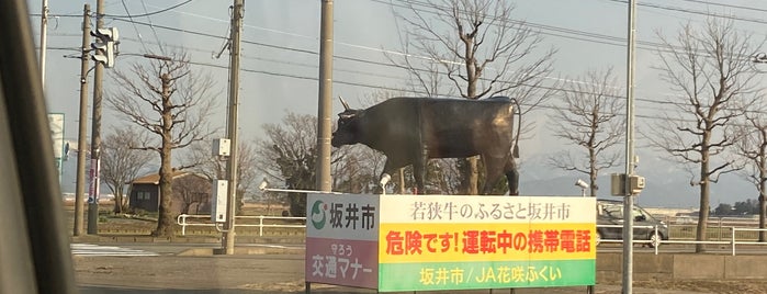 牛の交差点 is one of 気になった.