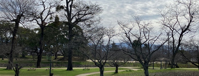 石手川緑地公園 is one of ひめキュンフルーツ缶 2014.