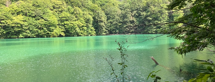 鶏頭場の池 is one of 東北.