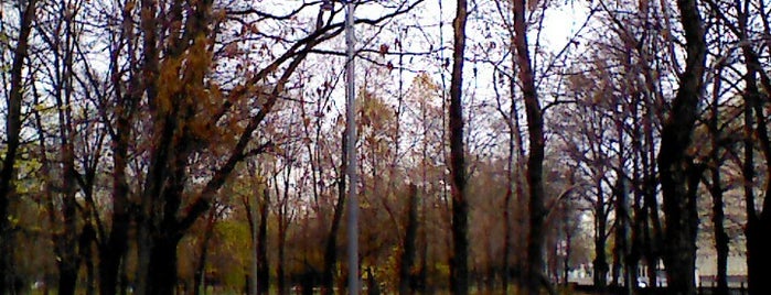 Сквер Девичьего поля is one of Parks and Gardens.