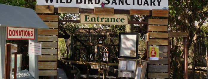 Florida Keys Wild Bird Center is one of Miami, Key Largo, Key West Trip!.