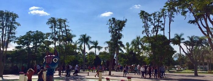 Jardines de México is one of Tempat yang Disukai Fernando.