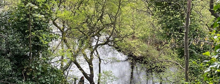 Water of Leith is one of Edinburg-Gezilecek Yerler.