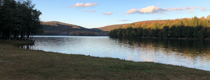 Mongaup Pond Campground is one of Camping.