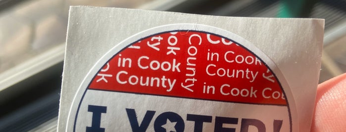 Oak Park Village Hall is one of Early Voting Cook County Suburbs.