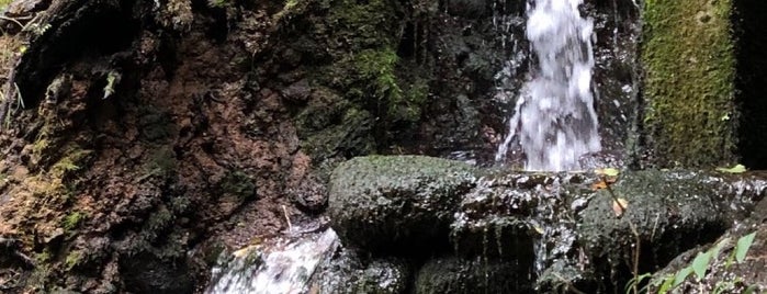 Dereağzı Alabalık Tesisleri is one of Lieux qui ont plu à Yusuf Kaan.