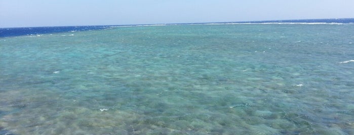 Shaab Zabargad is one of Marsa Alam .. The Pure Nature.