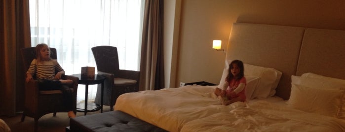 Lindner Hotel & City Lounge is one of Posti che sono piaciuti a Petra.