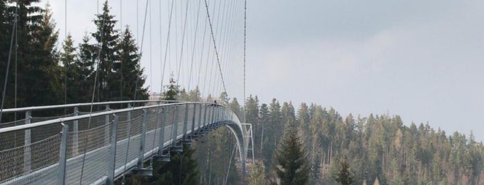 Hängebrücke WildLine is one of Porsche Ausflüge.