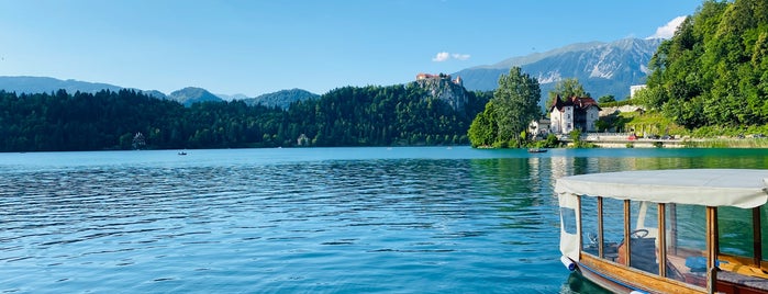 Blejsko Jezero / Lake Bled is one of Locais curtidos por Petra.