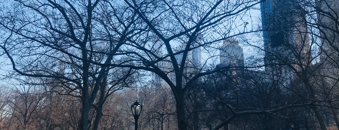 Central Park is one of Lieux qui ont plu à Petra.