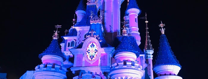Disneyland Paris is one of Orte, die Petra gefallen.