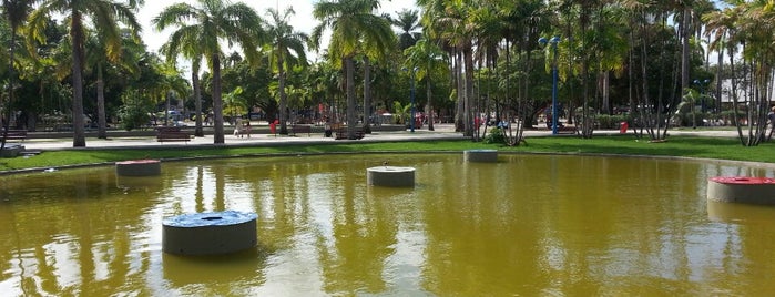Parque 13 de Maio is one of Sombra & Água fresca!.