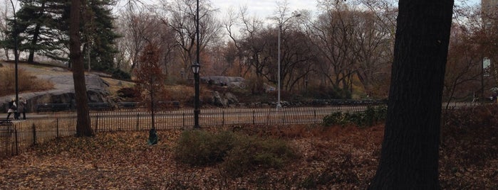 Franklin D. Roosevelt Memorial is one of new york landscapes.