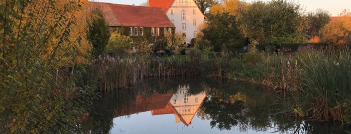 Peerd Hus is one of Braunschweig.