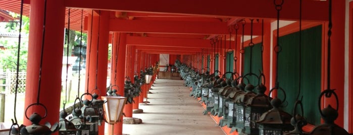 Kasuga-taisha Shrine is one of 八百万の神々 / Gods live everywhere in Japan.