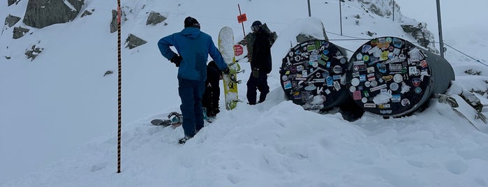 Blackcomb Peak is one of Ski Resorts.
