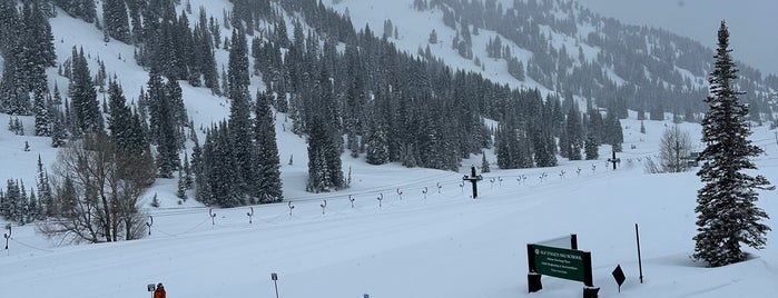 Alta Ski Area is one of Great Spots.