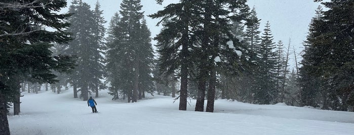 Summit Deck & Grill at Northstar California™ Resort is one of Lake tahoe.