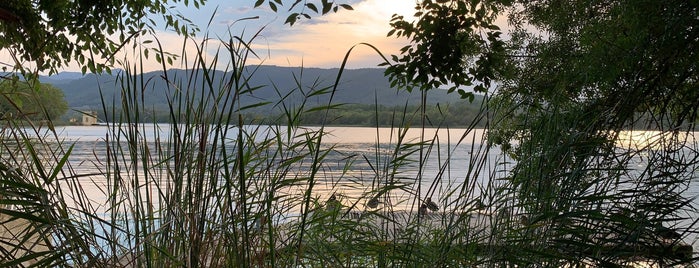 Estany de Banyoles is one of Costa Brava - España.