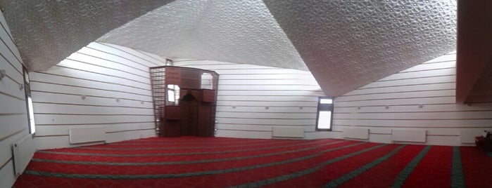 Şeyh Abdurrahman-ı Erzincani Camii is one of Gülverenさんのお気に入りスポット.