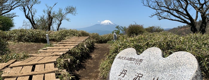 Mt. Tanzawa is one of 登山⛰.