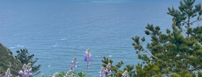 Muir Beach Overlook is one of Things to do @ Bay Area.