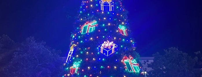 Plaza de Armas is one of Caribbean Blue.