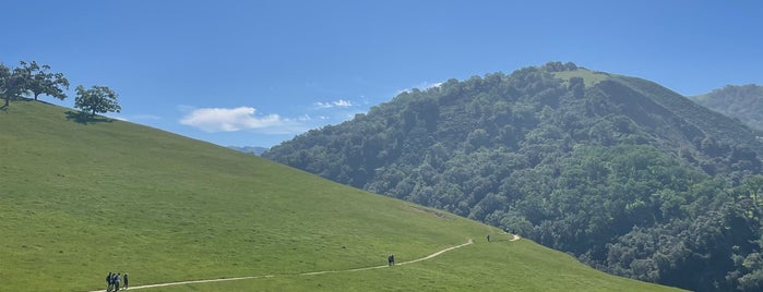 Little Yosemite is one of East Bay to-do.