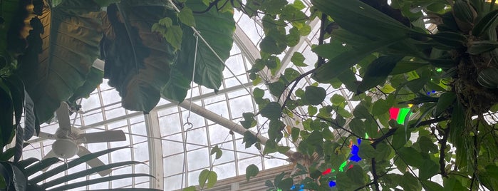 Conservatory of Flowers is one of baby mama survival list.