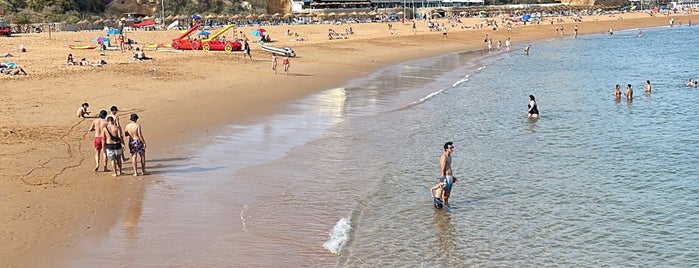 Praia do Peneco is one of PORTUGAL todo.