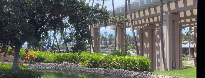 Hilton Waikoloa Village Resort is one of My favorite places.